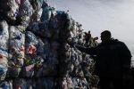 Жителям Подмосковья предложили сортировать бытовой мусор